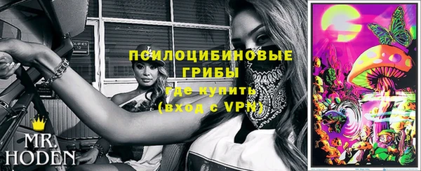 apvp Алексин