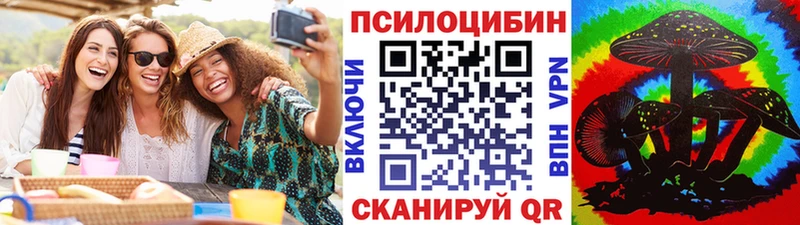Псилоцибиновые грибы Cubensis Менделеевск