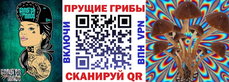 Псилоцибиновые грибы Cubensis  магазин продажи наркотиков  blacksprut ONION  Менделеевск 